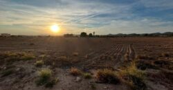 Spain Land for sale in Gea and Truyols Campo de Murcia, Ref#RML-01712