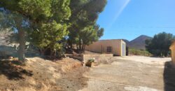 Spain Caserio Tortas, 2, Murcia, land 50,000 sqm with house & garden Ref#30
