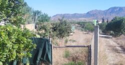 Spain country house in Murcia with warehouse and two plots Ref#RML-01576