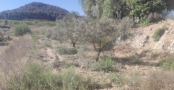 Spain country house in Murcia with warehouse and two plots Ref#RML-01576