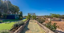 Spain Murcia villa on a large plot with private pool in Balsicas MSR-TM109