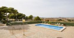 Spain Murcia villa with land in a privileged area 3556-00554