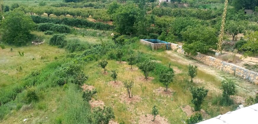 zahle twaite 2039 sqm land for sale with fruit trees Ref#6180