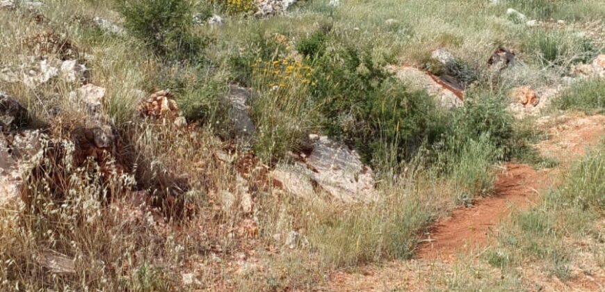 zahle qaa el rim 860 sqm land for sale Ref#6154