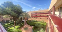 Spain Murcia apartment walking distance to Mil Palmeras beach SVM693729-1