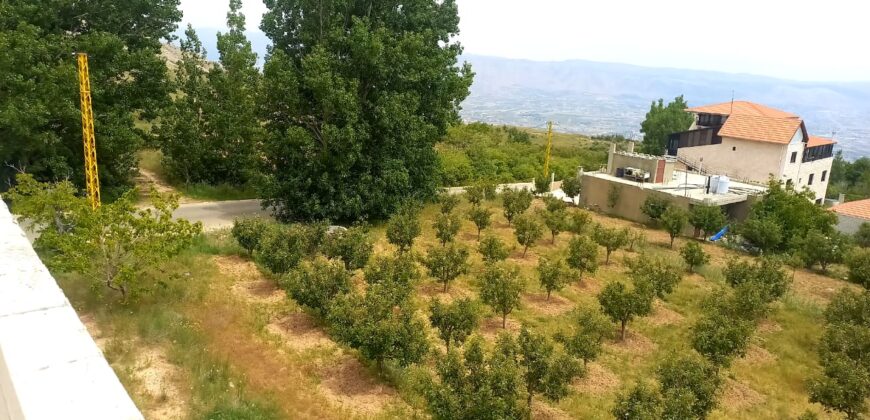 zahle twaite 2039 sqm land for sale with fruit trees Ref#6180