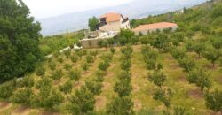 zahle twaite 2039 sqm land for sale with fruit trees Ref#6180