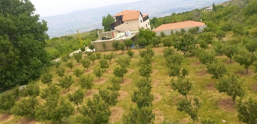 zahle twaite 2039 sqm land for sale with fruit trees Ref#6180