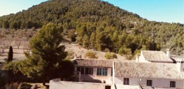Spain Murcia INVESTMENT PROJECT with WINERY & FARMHOUSE of 156 hectares