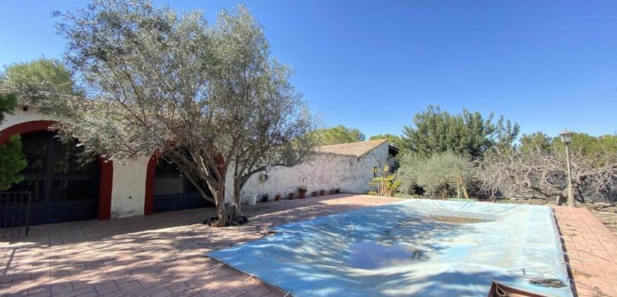 Spain Murcia get your residence visa! 220,000m2 of FINCA, HOUSE & LAND SVM671364-8