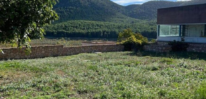 Spain Murcia INVESTMENT PROJECT with WINERY & FARMHOUSE of 156 hectares