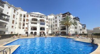 Spain Murcia get your residence visa! apartment SVM672197-4-1