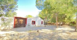 Spain Murcia get your residence visa! 220,000m2 of FINCA, HOUSE & LAND SVM671364-8