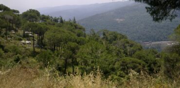 ouyoun broummana land 2670 sqm for sale prime location Ref#ag-38
