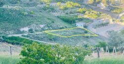 Rassieh aradi zahle land 1200 sqm for sale Ref#6196