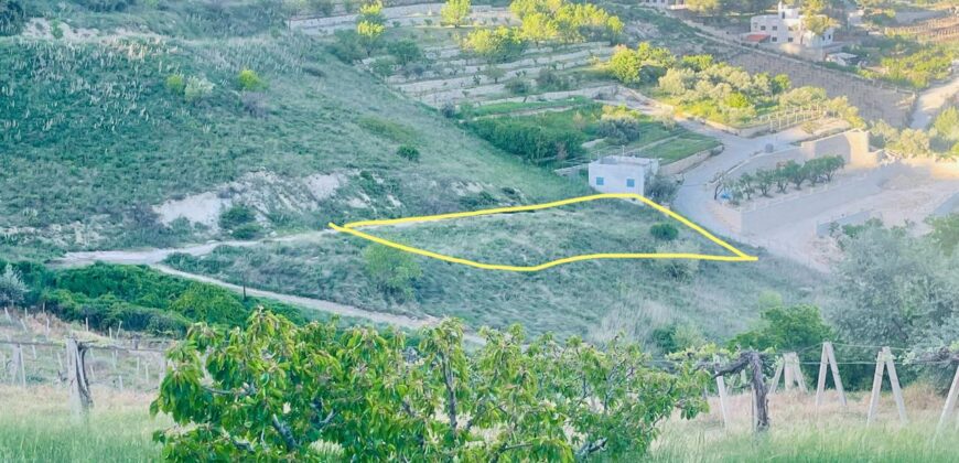 Rassieh aradi zahle land 1200 sqm for sale Ref#6196