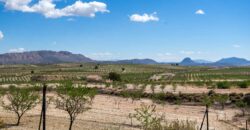 Spain Murcia Restoration Project With large Agricultural Land MSR-CAFA-V