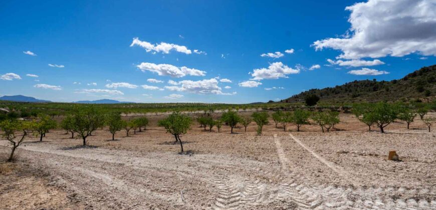 Spain Murcia Restoration Project With large Agricultural Land MSR-CAFA-V