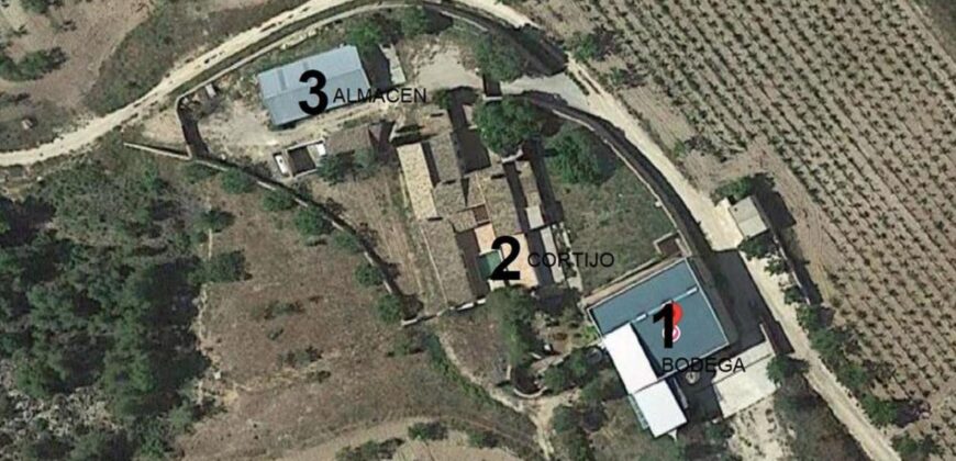 Spain Murcia INVESTMENT PROJECT with WINERY & FARMHOUSE of 156 hectares