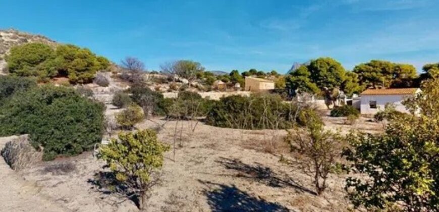 Spain Alicante house on a plot 41,072m suitable for business 000172