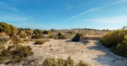 Spain Alicante house on a plot 41,072m suitable for business 000172