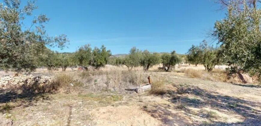 Spain Alicante get your residence visa! villa with a large plot RML-01963