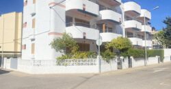 Spain Murcia flat completely refurbished close to beach SVM697838-3