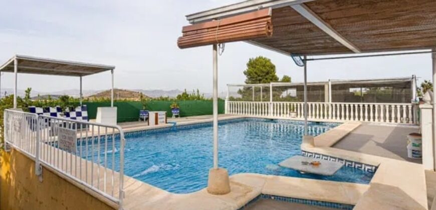 Spain Alicante villa in Orihuela with 4000m planted fruit trees 3556-01160