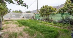 Spain Alicante villa in Orihuela with 4000m planted fruit trees 3556-01160