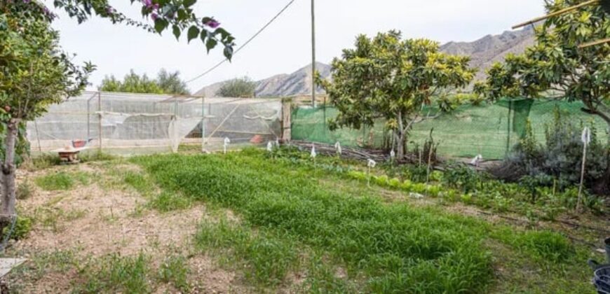 Spain Alicante villa in Orihuela with 4000m planted fruit trees 3556-01160