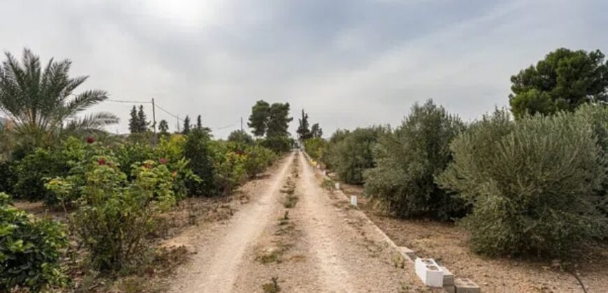 Spain Alicante villa in Orihuela with 4000m planted fruit trees 3556-01160