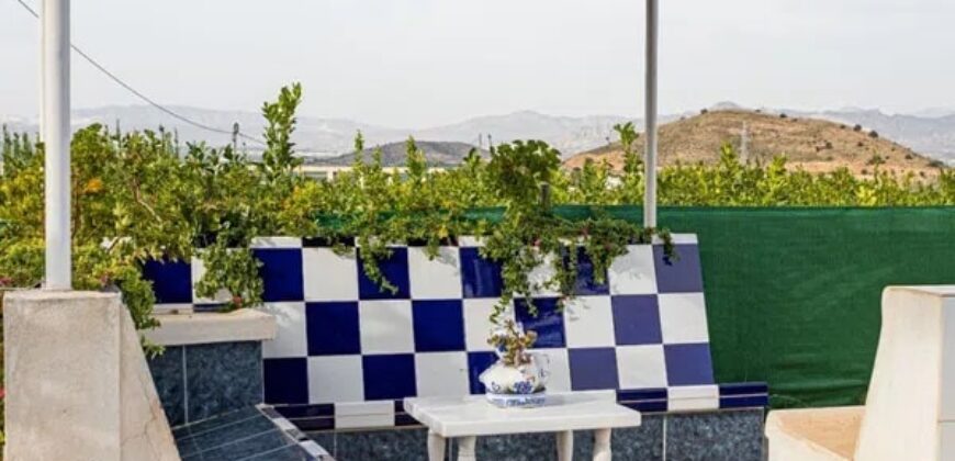 Spain Alicante villa in Orihuela with 4000m planted fruit trees 3556-01160