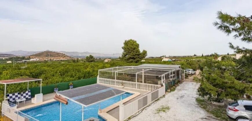 Spain Alicante villa in Orihuela with 4000m planted fruit trees 3556-01160