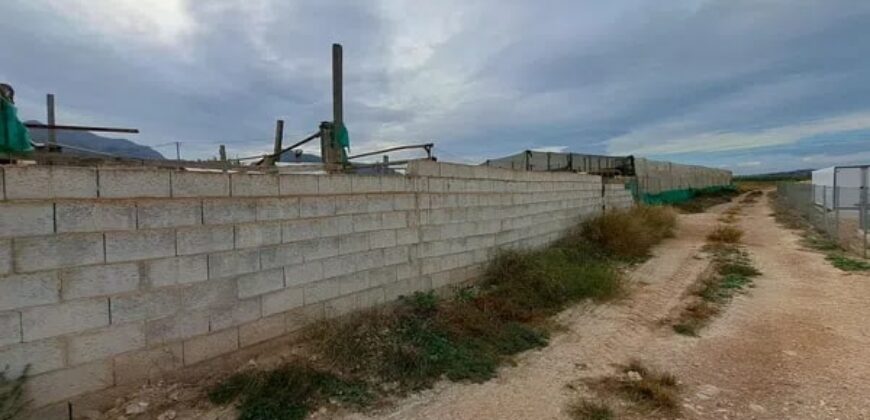 Spain Alicante house with land 2,300m in orihuela RML-02143