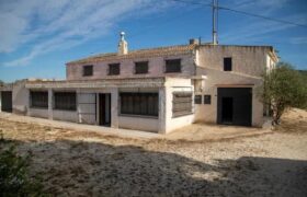 Spain Alicante cave house + house with land & pool+ winery RML-01557