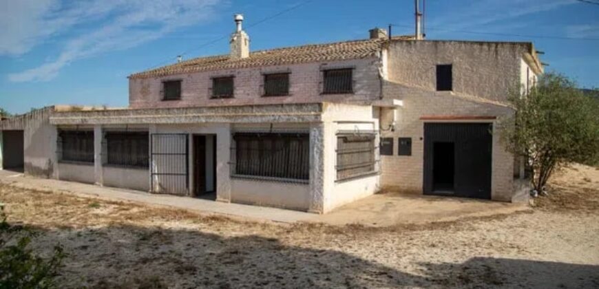 Spain Alicante cave house + house with land & pool+ winery RML-01557