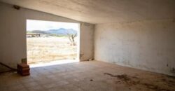 Spain Alicante cave house + house with land & pool+ winery RML-01557