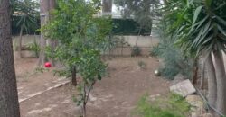 Spain Alicante detached house or villa suitable for a business RML-02185