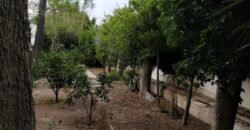 Spain Alicante detached house or villa suitable for a business RML-02185