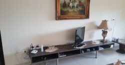 Rabieh Luxurious partially furnished apartment for rent Ref#6287