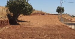 maalaka aradi land 1980 sqm for sale Ref#6324