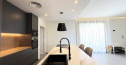 Spain Get your residency! fully furnished villa with pool & garden SVM744411