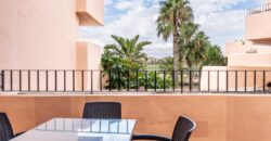 Spain Murcia get your residence visa! apartment fully furnished MSR-9613MM-V