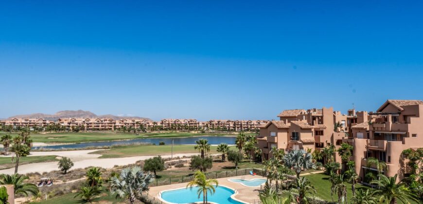 Spain Murcia Get your residence visa! fully furnished penthouse MSR-401233MM-V