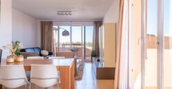 Spain Murcia Get your residence visa! fully furnished penthouse MSR-401233MM-V