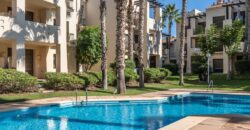 Spain Murcia Get your residency! apartment with roof terrace MSR-ADM1622RA-V