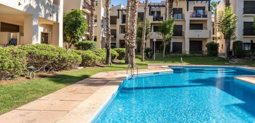 Spain Murcia Get your residency! apartment with roof terrace MSR-ADM1622RA-V