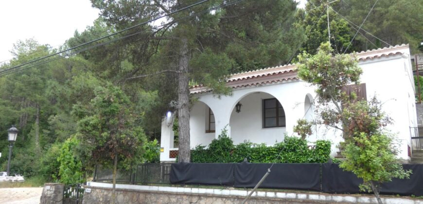 Spain detached house in Pontons, Unique opportunity! PR-00240