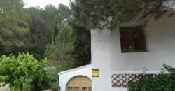 Spain detached house in Pontons, Unique opportunity! PR-00240