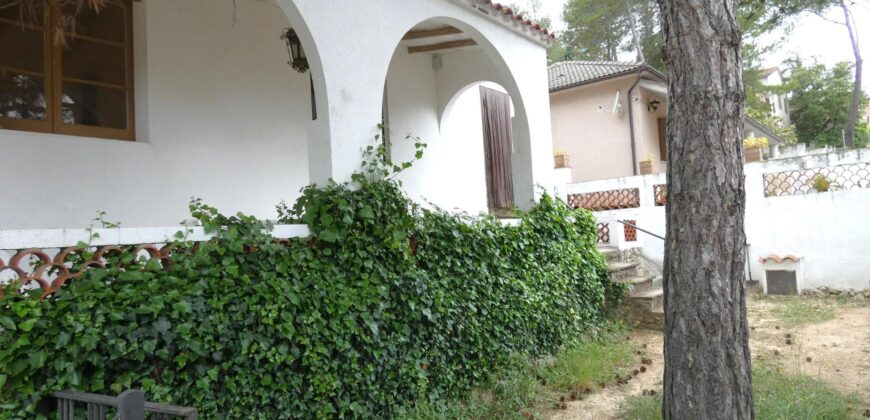 Spain detached house in Pontons, Unique opportunity! PR-00240